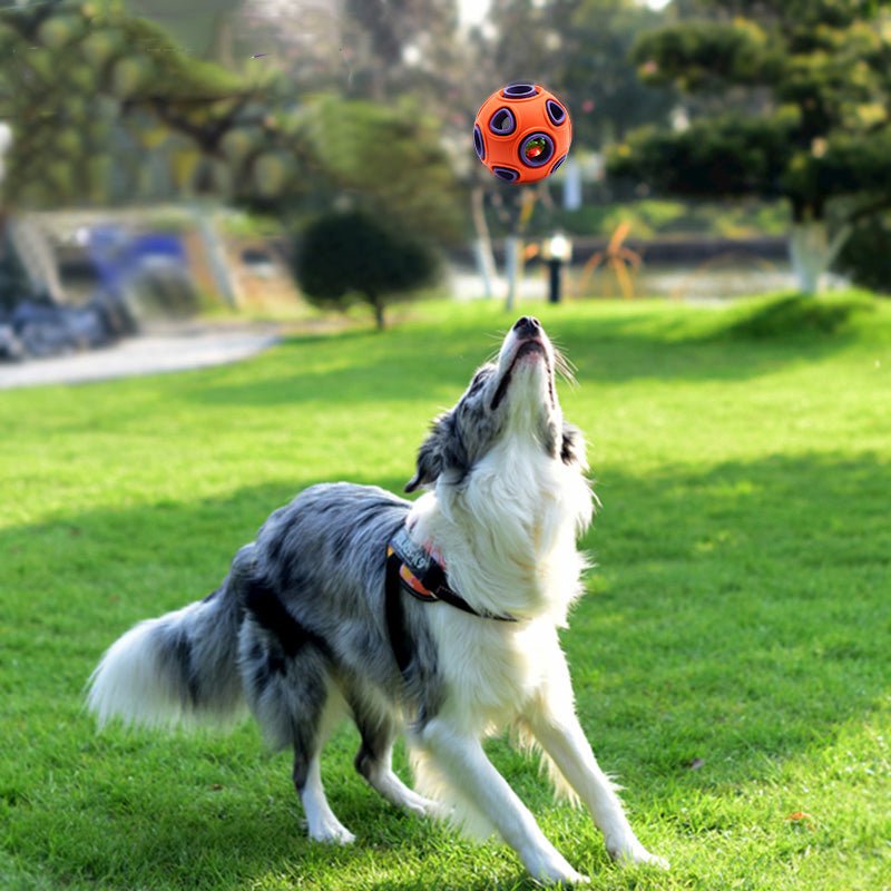 Pet Dog Toys Toy Funny Interactive Ball Dog Chew Toy For Dog Ball Of Food Rubber Balls Pets Supplies - Lucky Collection