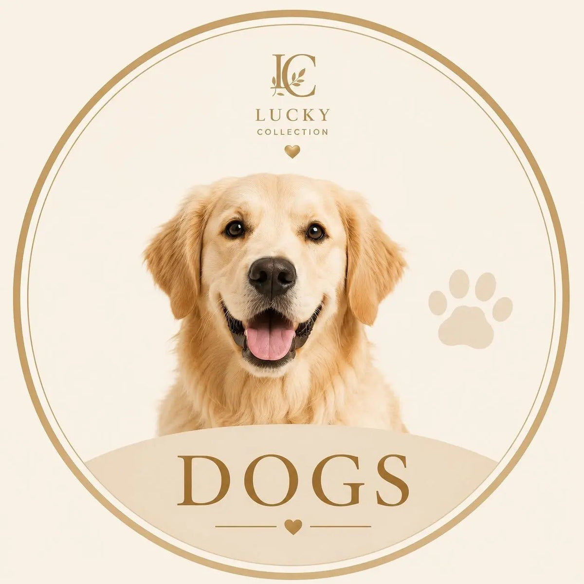 Dog Accessories UK - Lucky Collection