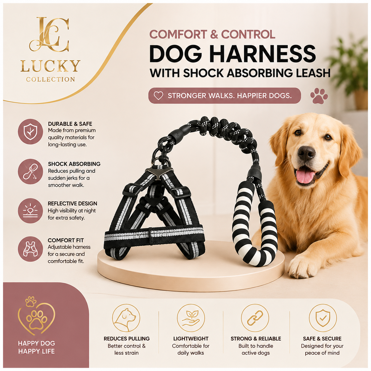 Dog Leash