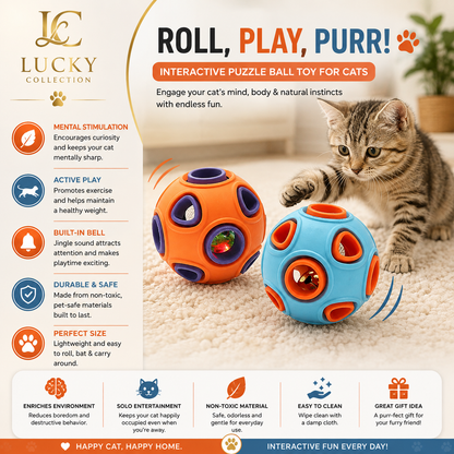 Pet chew ball