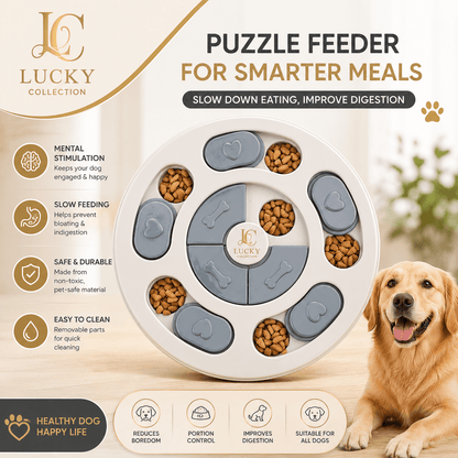 Dog Puzzle Food Toys - Lucky Collection