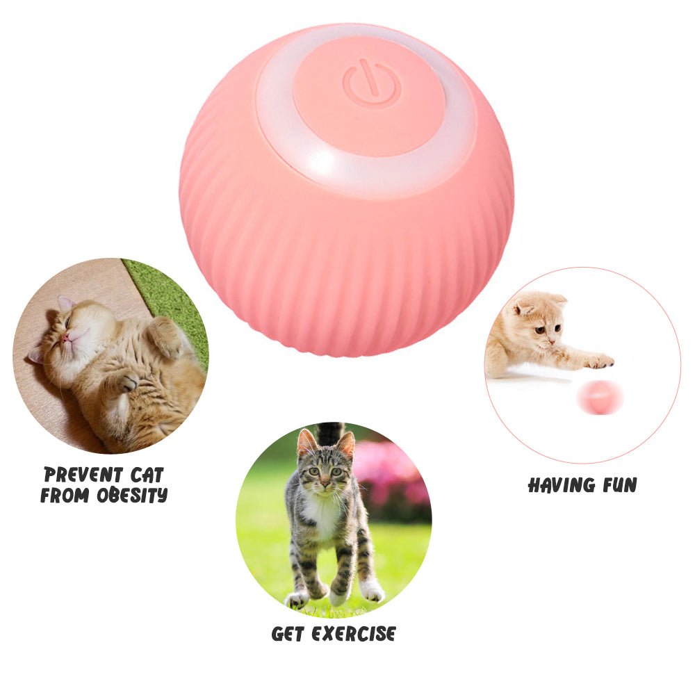 Gravitational Intelligent Rolling Ball Cat Ball Electric Cat Ball Cat Mint Sound Grinding Teeth Anti Bite Ball - Lucky Collection