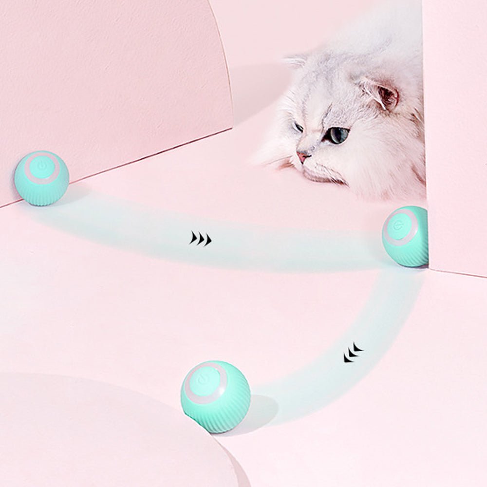 Gravitational Intelligent Rolling Ball Cat Ball Electric Cat Ball Cat Mint Sound Grinding Teeth Anti Bite Ball - Lucky Collection
