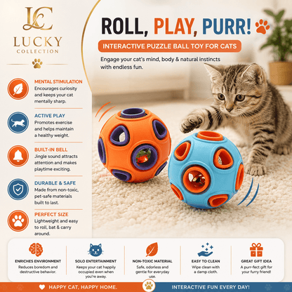 Pet chew ball - Lucky Collection
