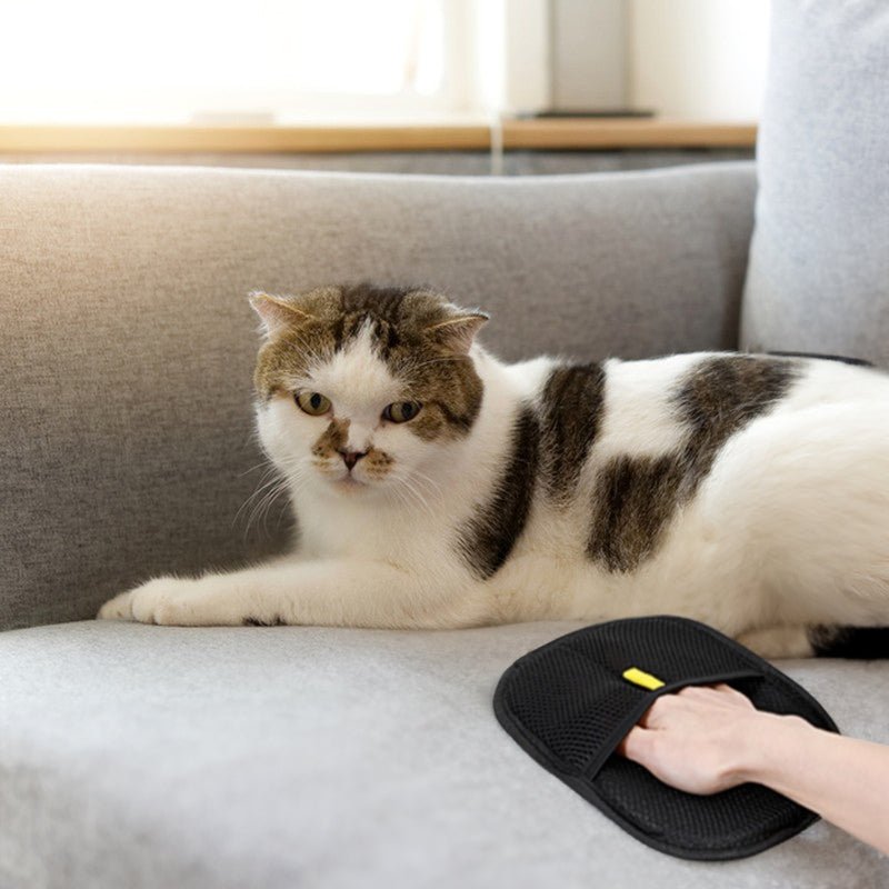 Static Pet Hair Removal Gloves - 3-in-1 Grooming, Deshedding & Multi-Surface Hair Remover for Dogs & Cats - Lucky Collection
